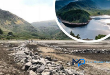 mardale green