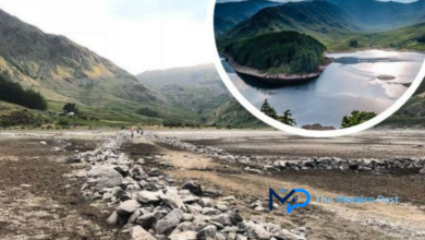mardale green