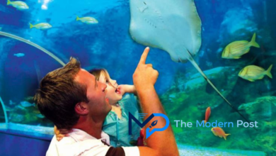 indoor places to visit near me