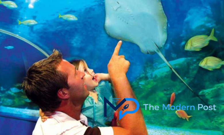 indoor places to visit near me