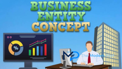 business entity concept