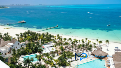cancer research travel insurance